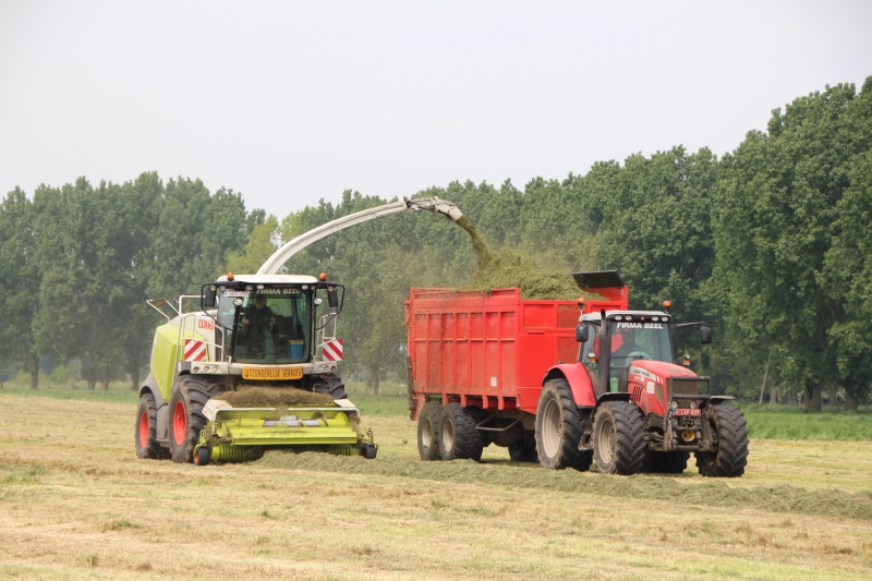 Demeyer hakselen gras