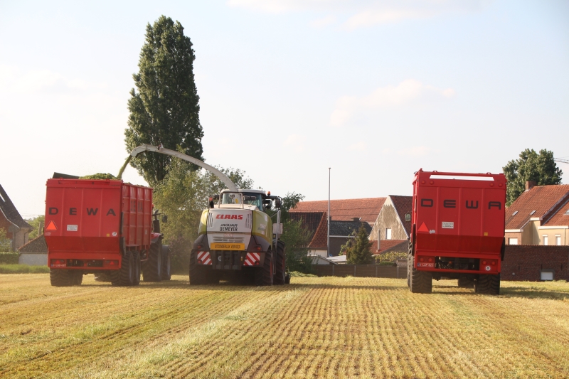 Demeyer hakselen gras